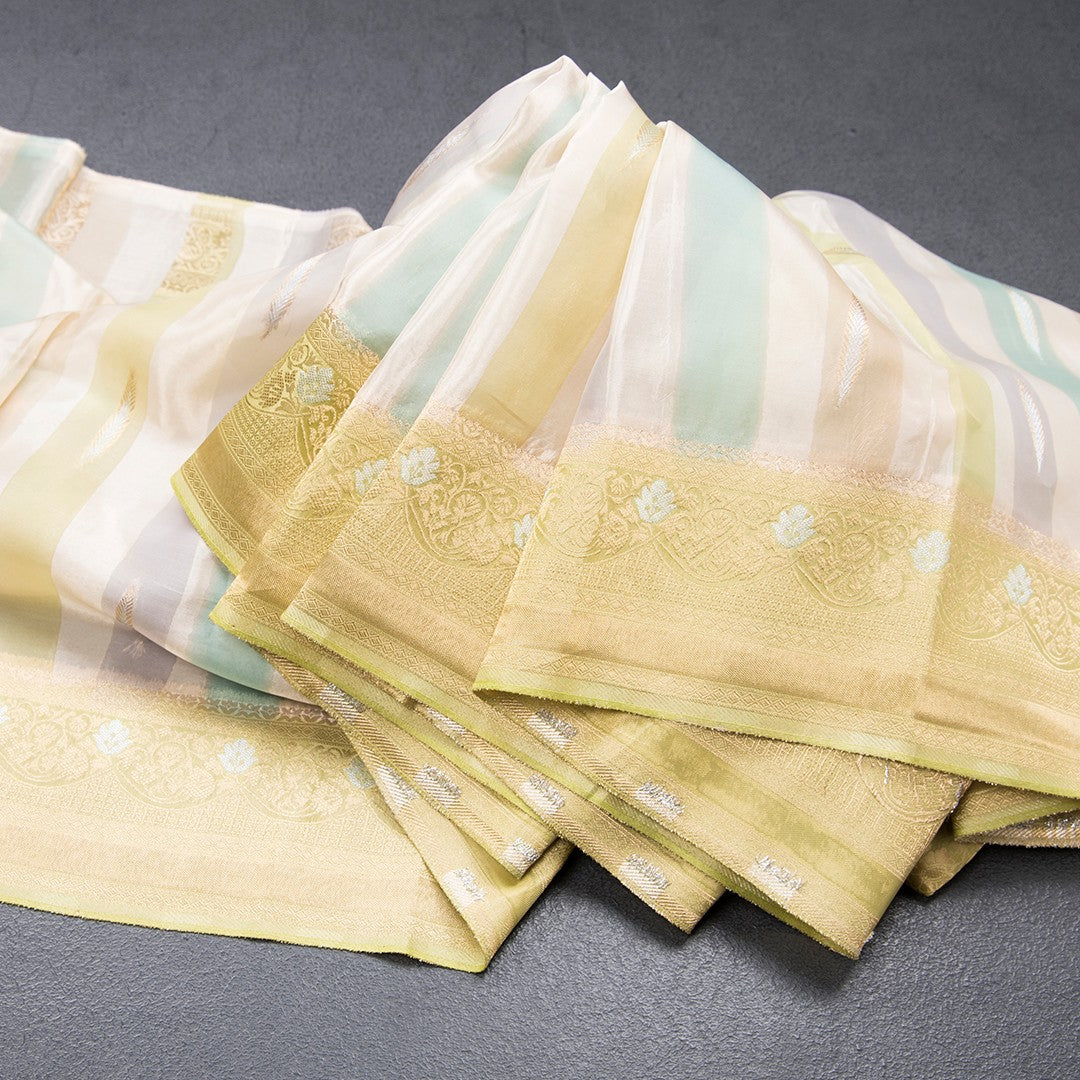 Tissue Banaras Multi Colour Zari Worked Saree 03