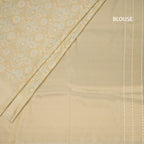 Banaras Very Light Green Zari Worked Saree