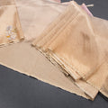 Organza Multi Colour Zari Stripes With Thread Work Saree 04