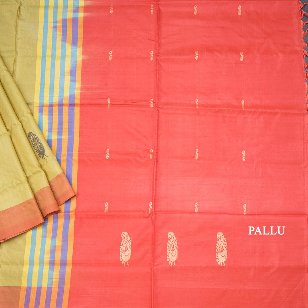 Vaazhai Naar Olive Green Saree With Thread Buttas And Contrast Pallu