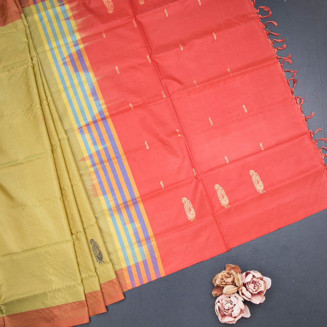 Vaazhai Naar Olive Green Saree With Thread Buttas And Contrast Pallu