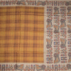 Raw Silk Multi Colour Zari Checked Saree