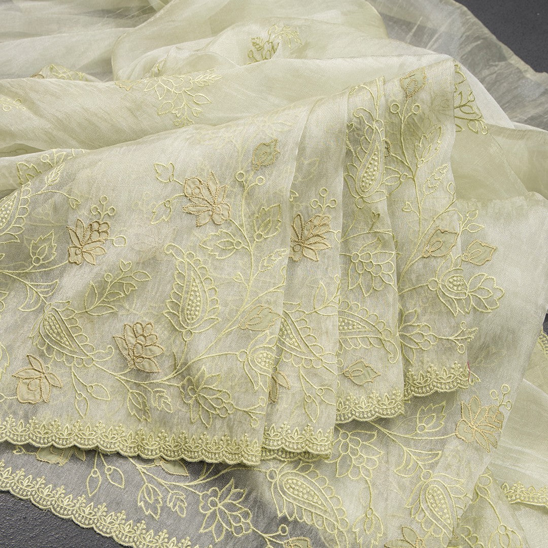 Organza Apple Green Thread Embroidered Saree