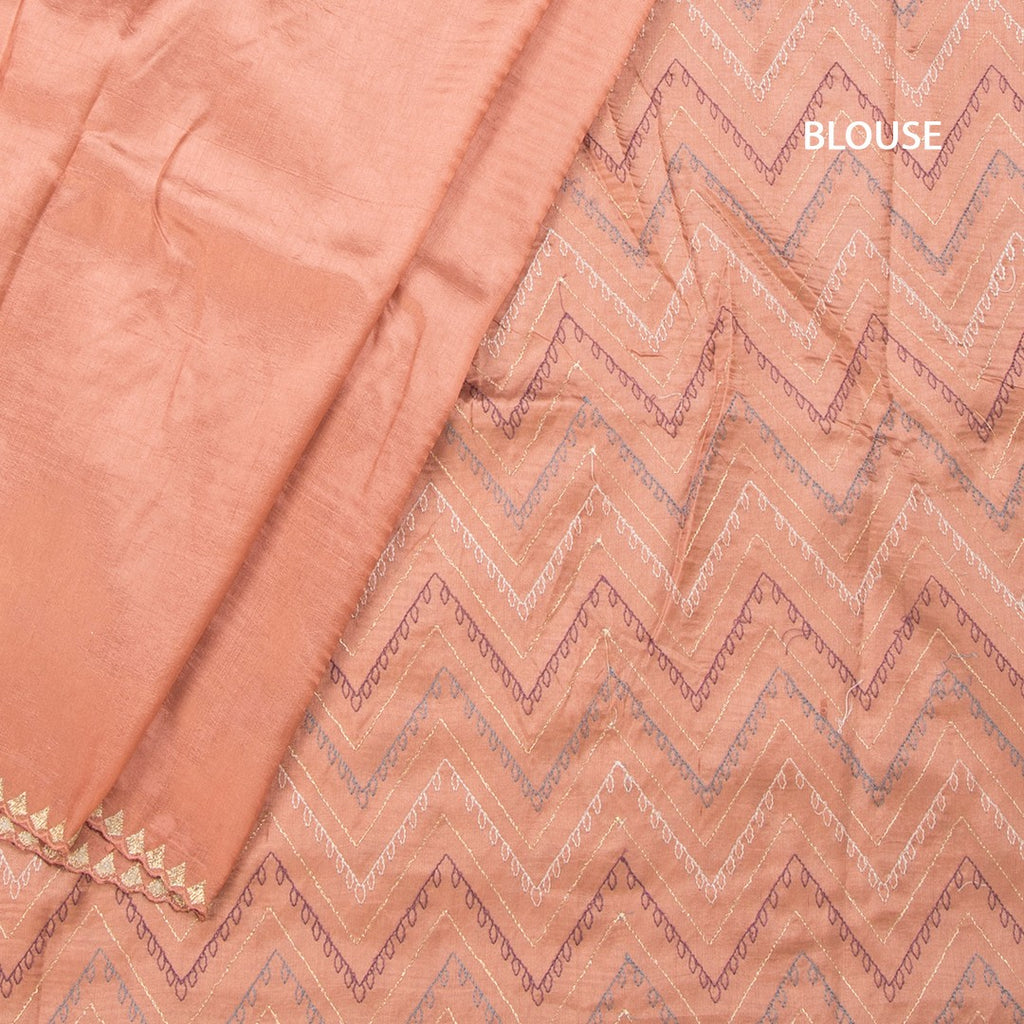 RTSR42178-4-Raw-Silk-Peach-Thread-Work-Saree-With-Birds-Design-blouse