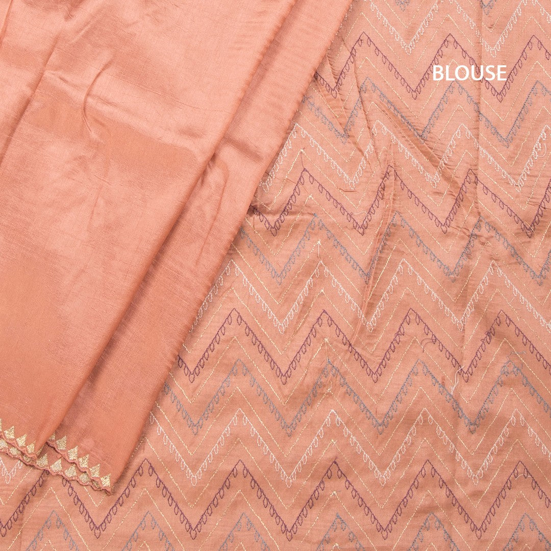 RTSR42178-4-Raw-Silk-Peach-Thread-Work-Saree-With-Birds-Design-blouse