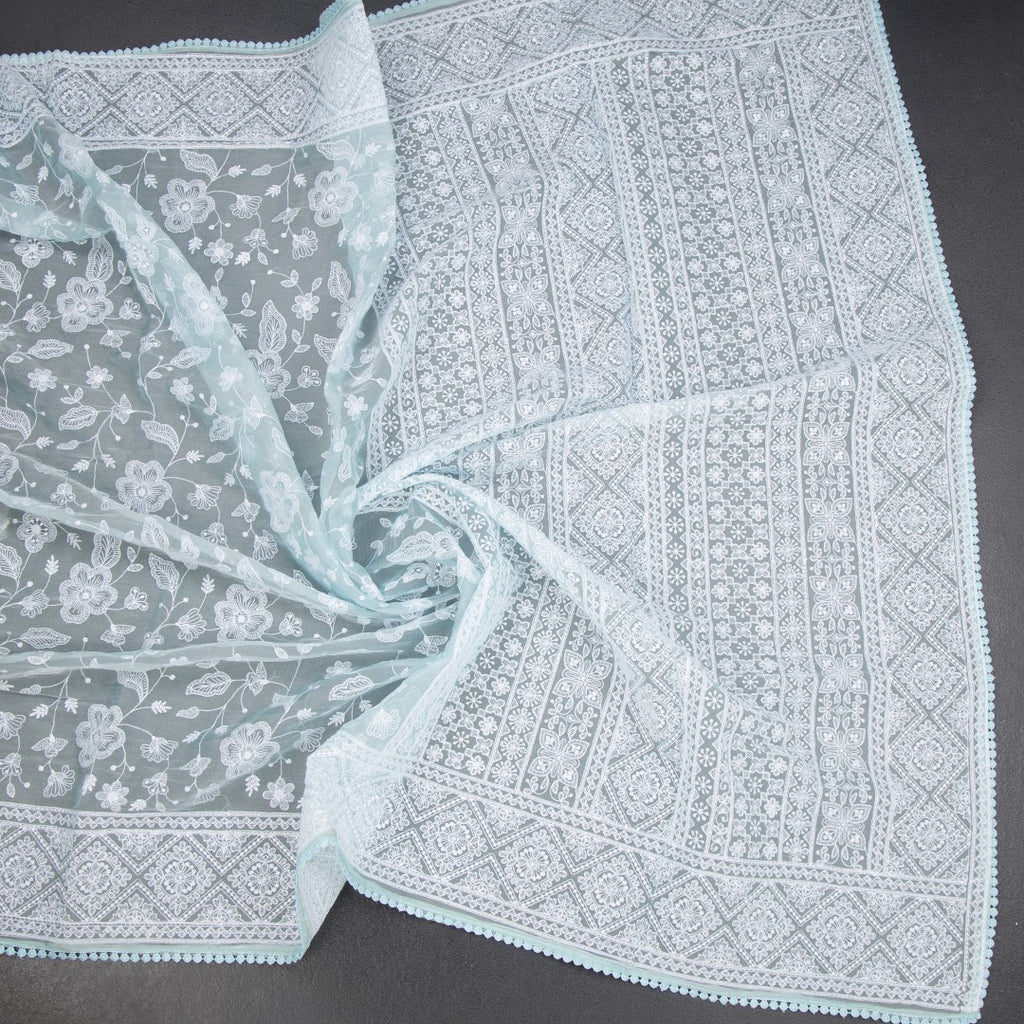RTSR42272-5-Organza-Powder-Blue-Thread-Work-Saree-crush