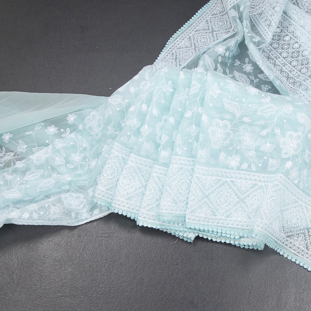RTSR42272-Organza-Powder-Blue-Thread-Work-Saree-main