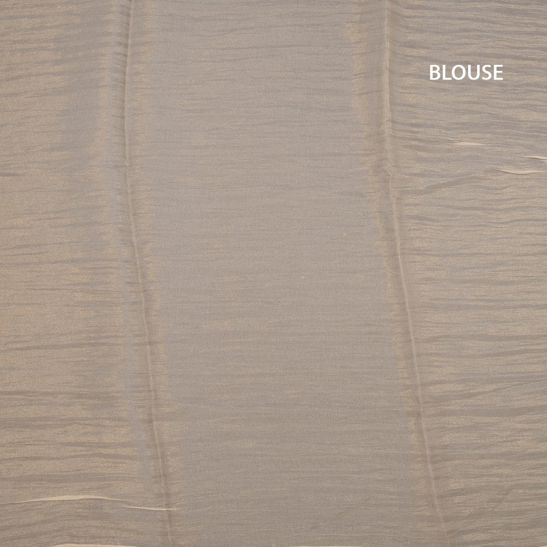 RTSR42317-3-Organza-Cream-Thread-Work-Saree-blouse