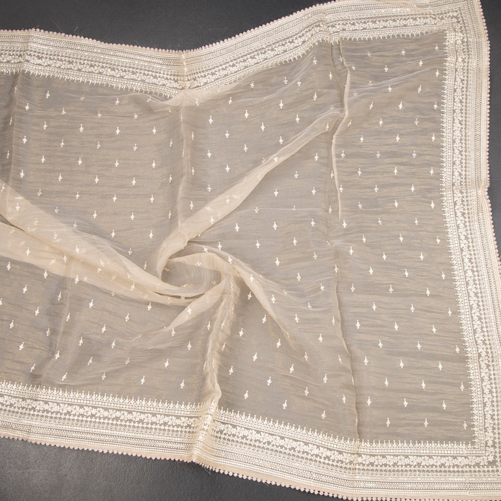 RTSR42317-4-Organza-Cream-Thread-Work-Saree-crush
