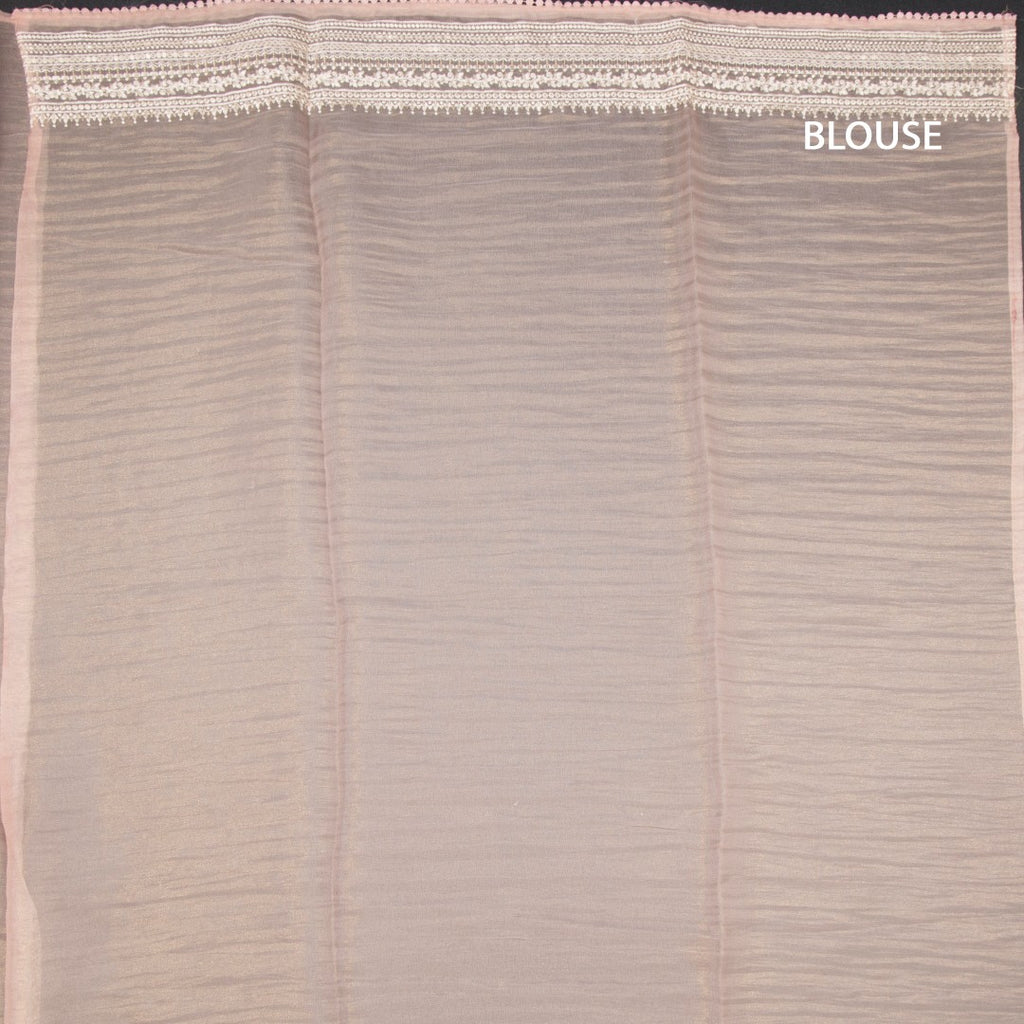 RTSR42318-3-Organza-Peach-Thread-Work-Saree-blouse