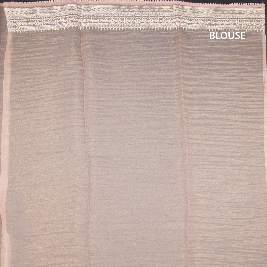 RTSR42318-3-Organza-Peach-Thread-Work-Saree-blouse
