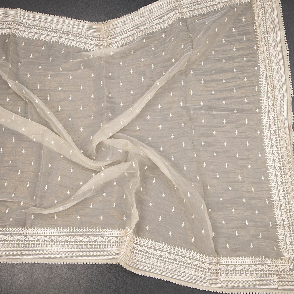 RTSR42319-4-Organza-Cream-Thread-Work-Saree-02-crush