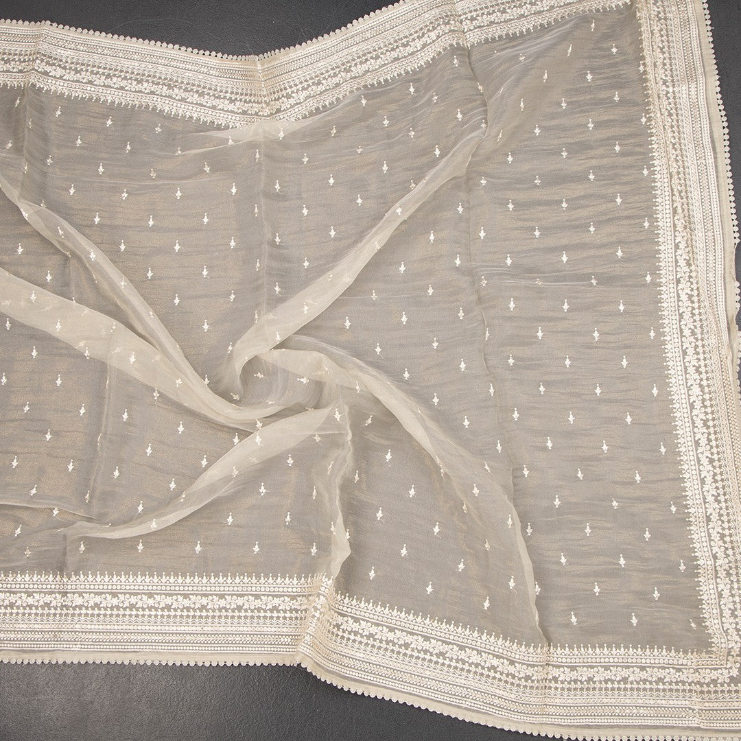 RTSR42319-4-Organza-Cream-Thread-Work-Saree-02-crush