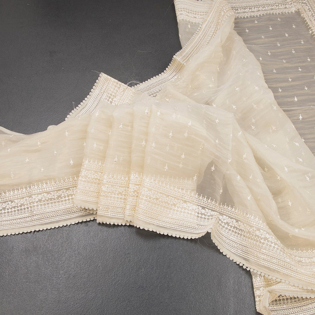 RTSR42319-Organza-Cream-Thread-Work-Saree-02-main