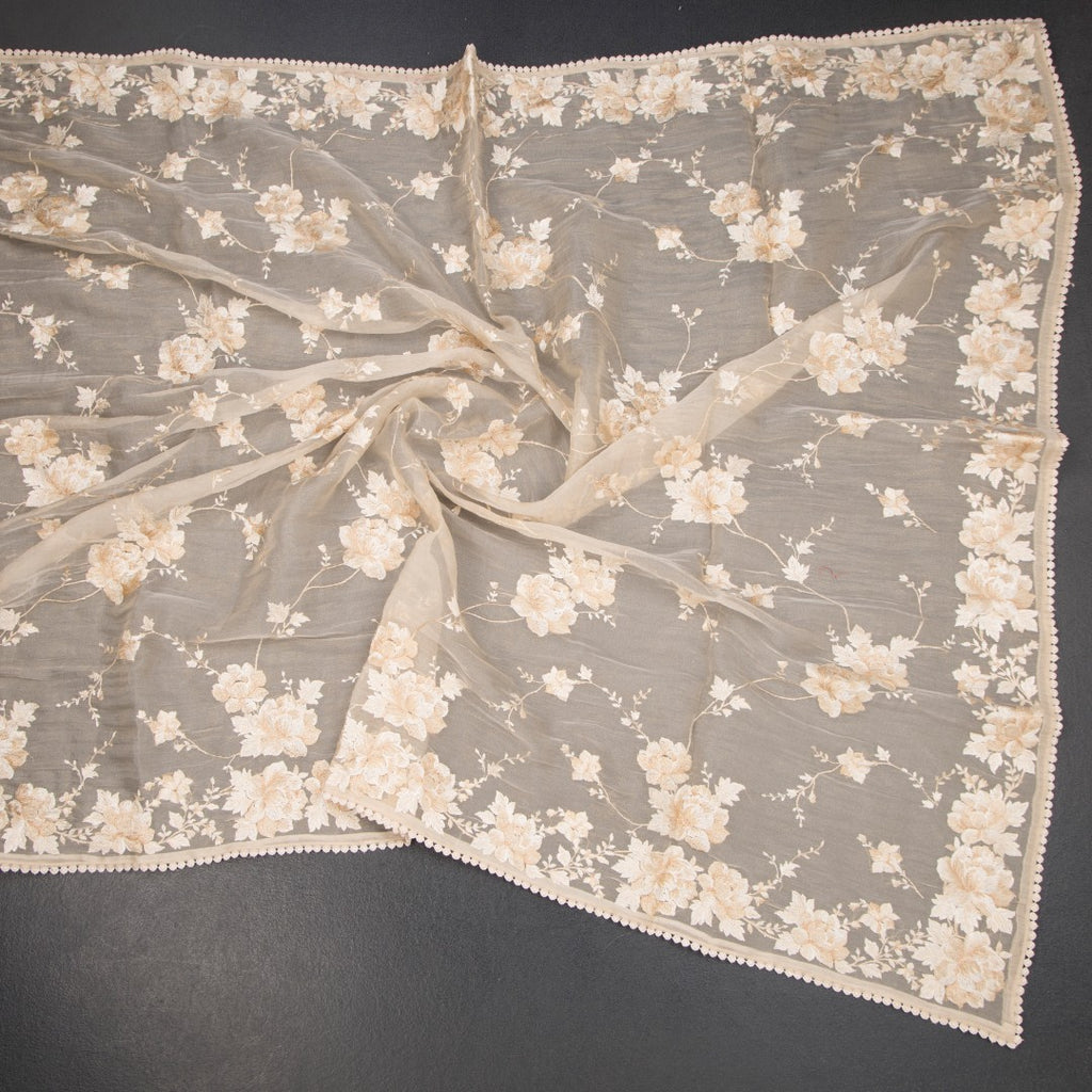RTSR42344-4-Organza-Cream-Floral-Thread-Work-Saree-03-crush