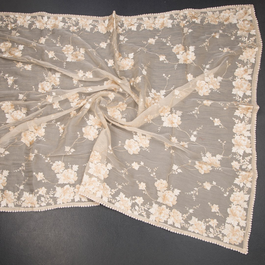 RTSR42344-4-Organza-Cream-Floral-Thread-Work-Saree-03-crush