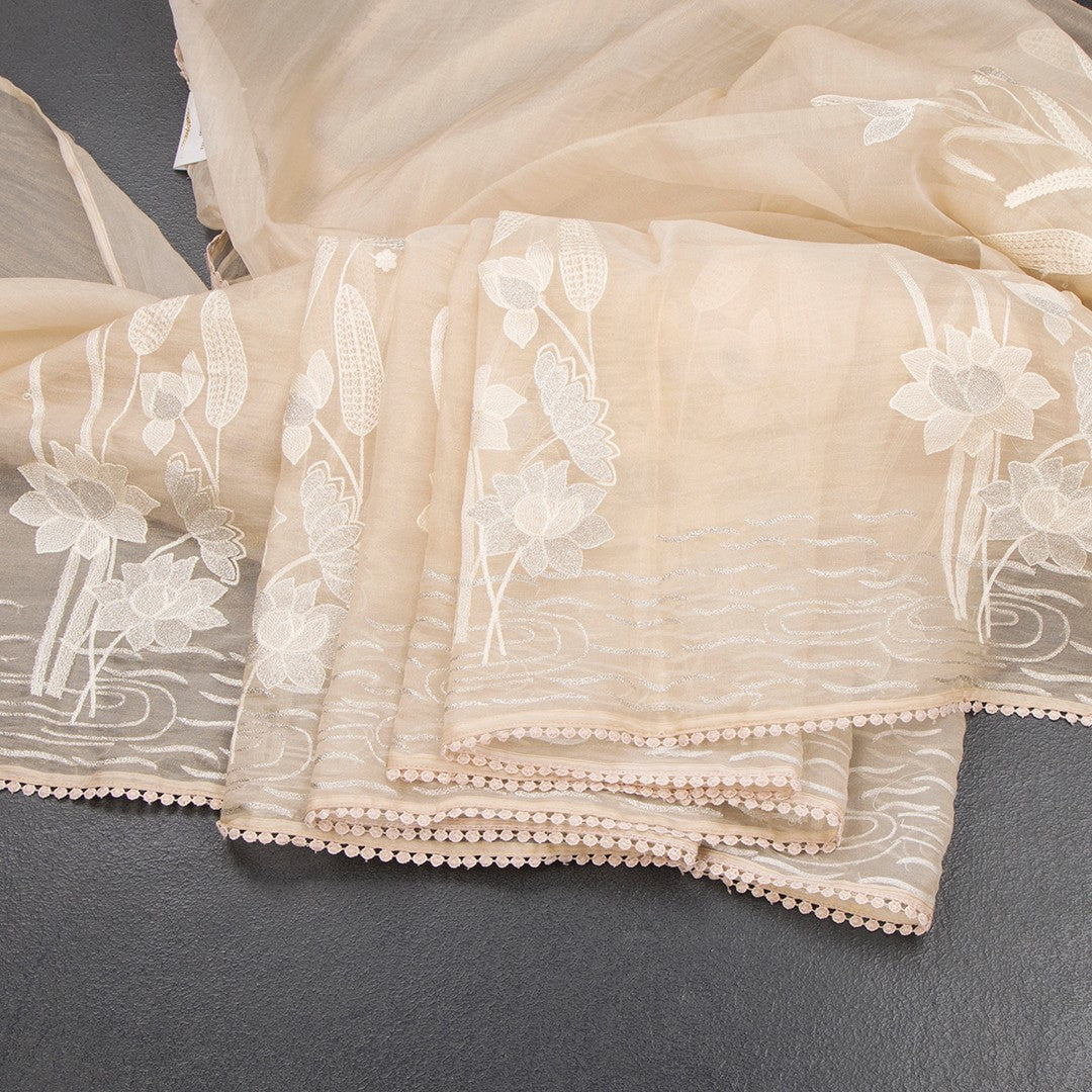 RTSR42357-Organza-Cream-Floral-Thread-Work-Saree-04-main