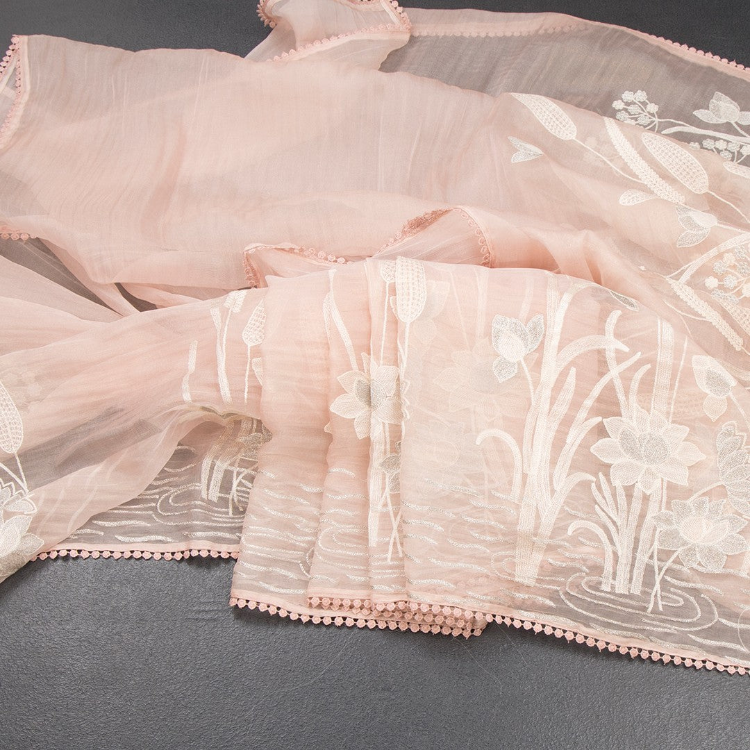 RTSR42358-Organza-Peach-Floral-Thread-Work-Saree-03-main