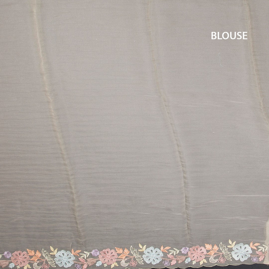 RTSR42367-3-Organza-Cream-Floral-Thread-Work-Saree-05-blouse