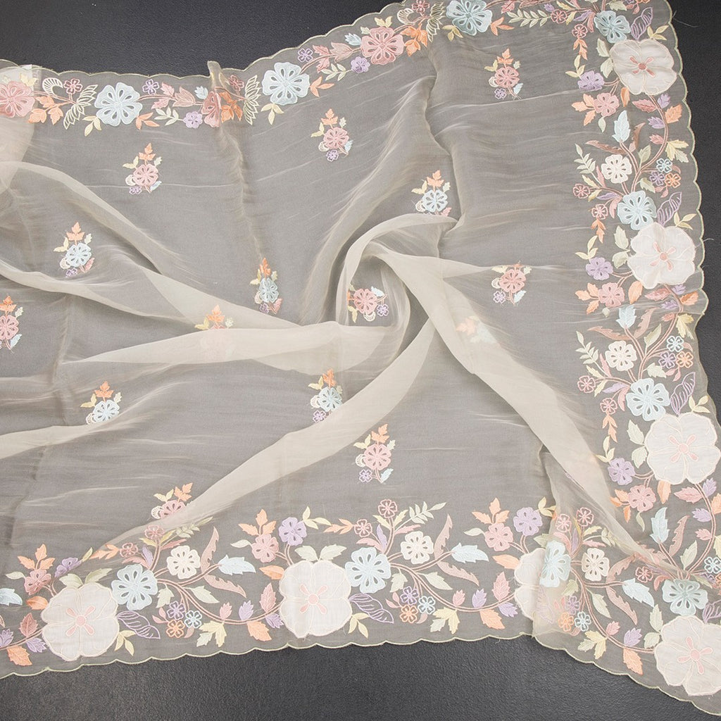 RTSR42367-4-Organza-Cream-Floral-Thread-Work-Saree-05-crush