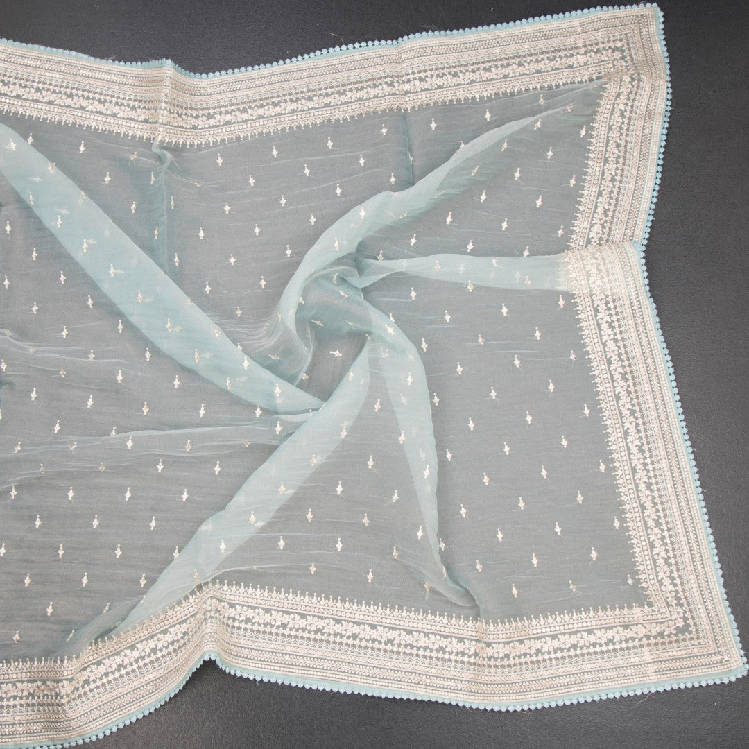 RTSR42371-4-Organza-Light-Blue-Thread-Work-Saree-crush