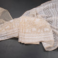 RTSR42395-Organza-Sandal-Thread-Work-Saree-02-main
